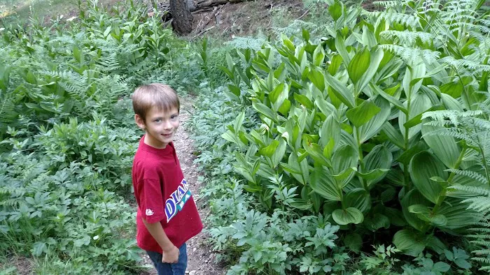 Snow Flat Boy Scout Camp Picture 9