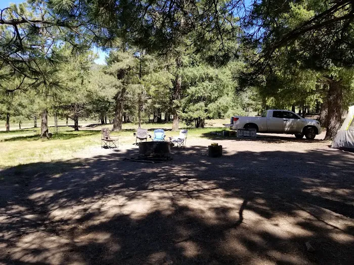 Treasure Park - EAST Picture 7