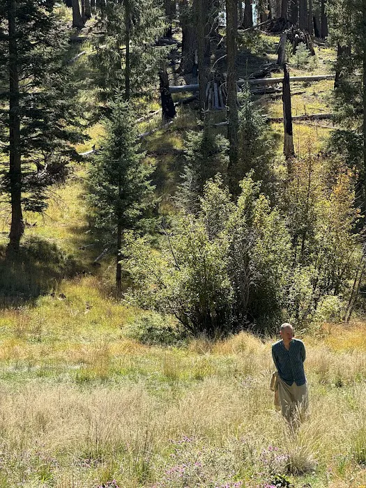 Hospital Flat Campground Picture 1