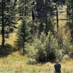 Hospital Flat Campground
