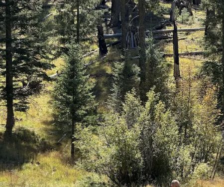 Hospital Flat Campground