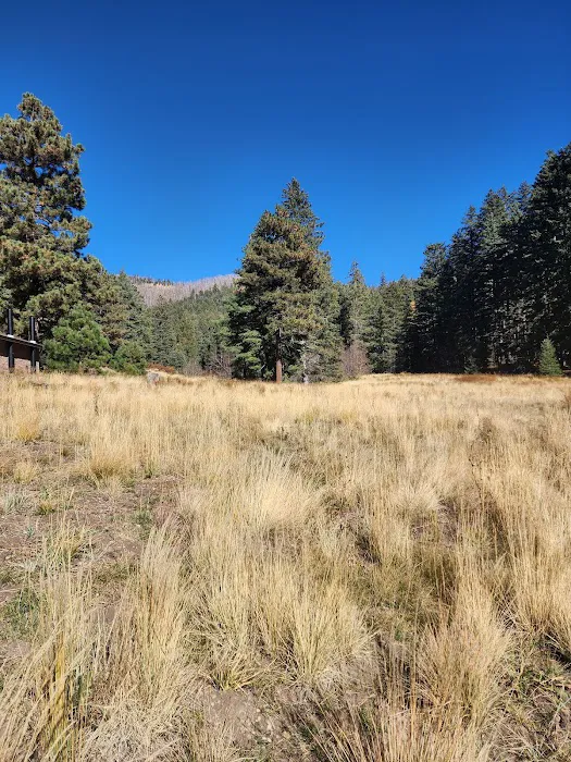 Hospital Flat Campground Picture 2