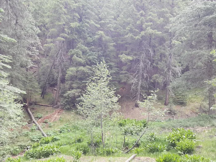 Hospital Flat Campground Picture 3