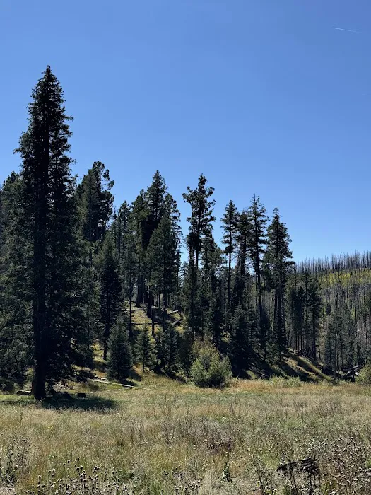Hospital Flat Campground Picture 7