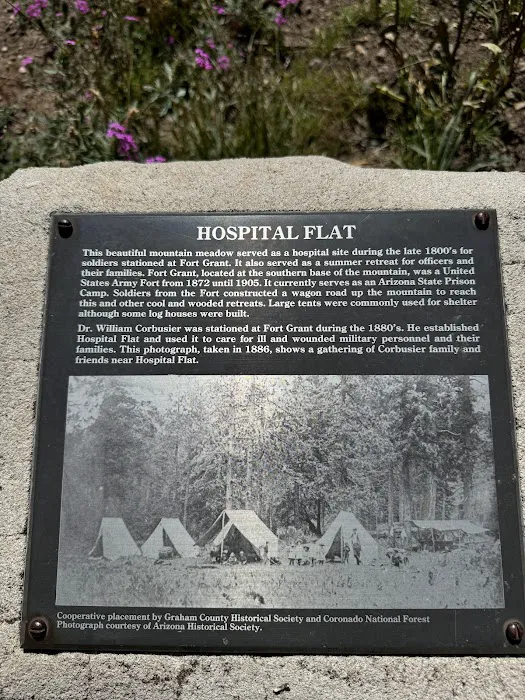 Hospital Flat Campground Picture 5