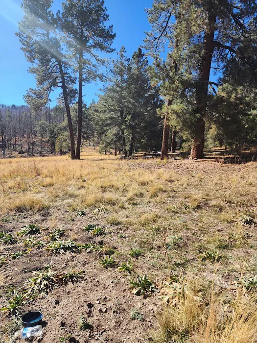 Hospital Flat Campground Picture 8