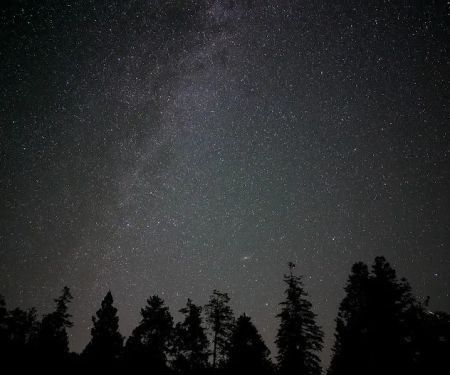 Cunningham Campground - Mt. Graham
