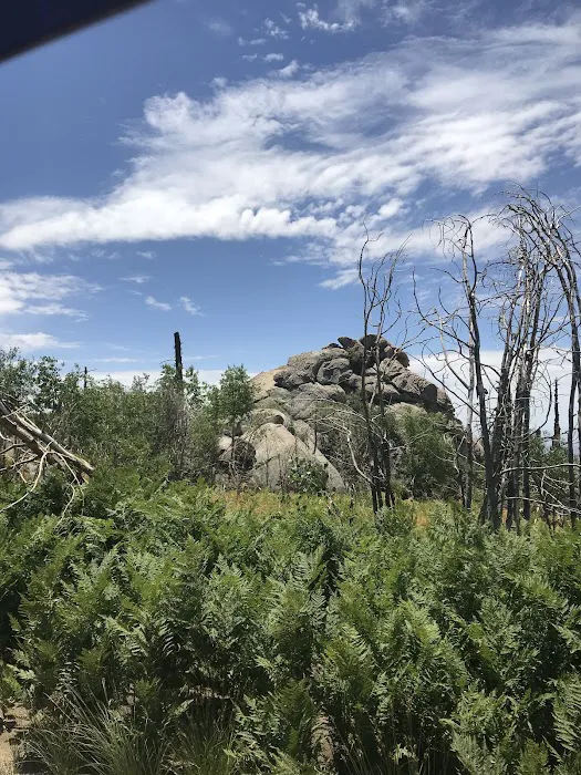Cunningham Campground - Mt. Graham Picture 3