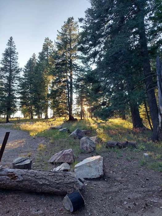 Cunningham Campground - Mt. Graham Picture 8