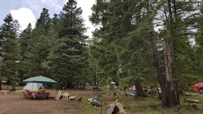 Cunningham Campground - Mt. Graham Picture 10