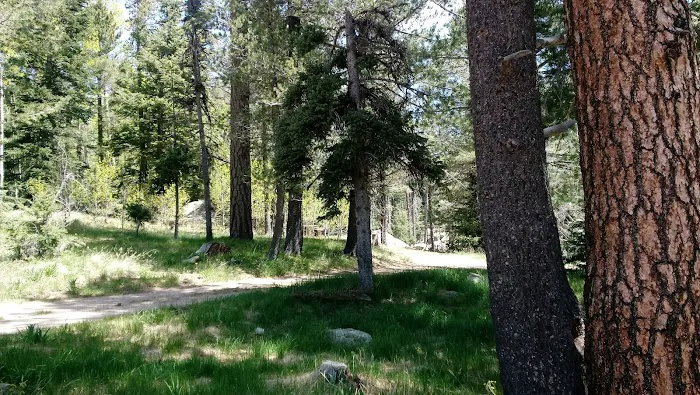 Soldier Creek Campground Picture 3