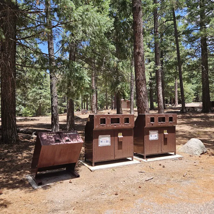 Riggs Flat Campground Picture 2