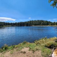 Riggs Flat Campground ico