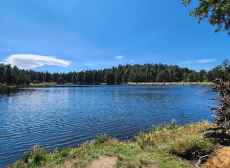 Riggs Flat Campground