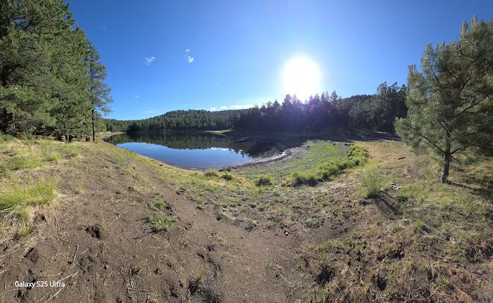 Riggs Flat Campground Picture 4