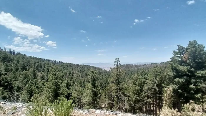 Riggs Flat Campground Picture 7