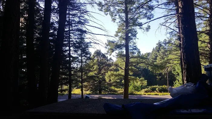 Riggs Flat Campground Picture 8