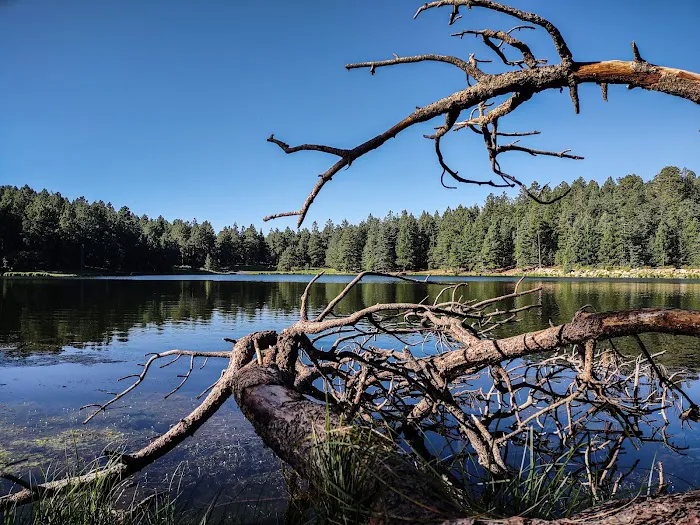 Riggs Flat Lake (recgovnpsdata) Picture 1