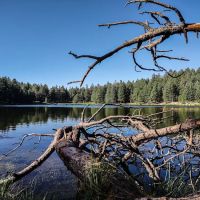 Riggs Flat Lake (recgovnpsdata) ico