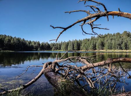 Riggs Flat Lake (recgovnpsdata)