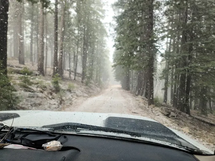 Riggs Flat Lake (recgovnpsdata) Picture 5