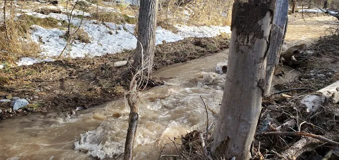 Kingston Campground Picture 4