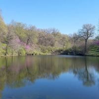 J46 Scout Ranch ico