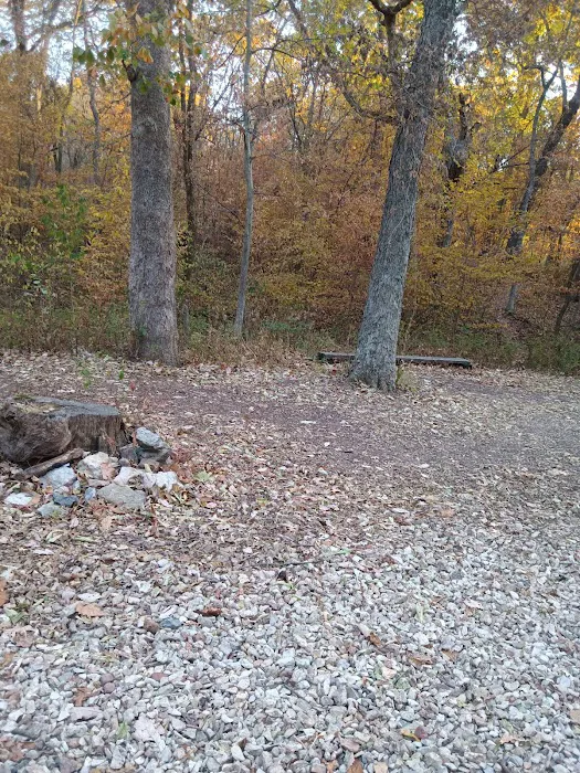 Shawnee Mission Park Campsite & Youth Camp 2 Picture 4