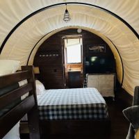 Kansas City East / Oak Grove KOA Holiday ico