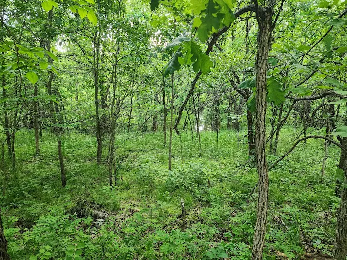 B&S Creekside Retreat LLC. Picture 2