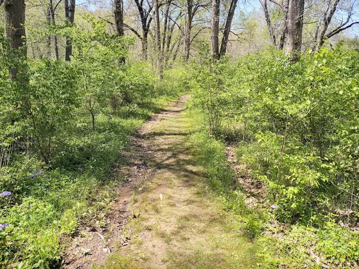 Knob Noster Campgrounds Picture 4
