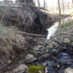 Windsor Woods Campground