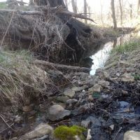 Windsor Woods Campground ico
