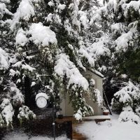Shady Grove RV Park & Campground ico
