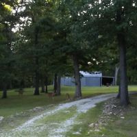 Angler's Camp RV Park Llc ico