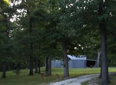 Angler's Camp RV Park Llc