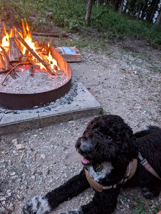 Wild Turkey Ridge Campground Picture 4