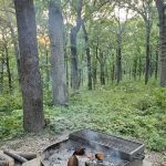 Buck Ridge Campground
