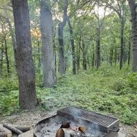 Buck Ridge Campground ico