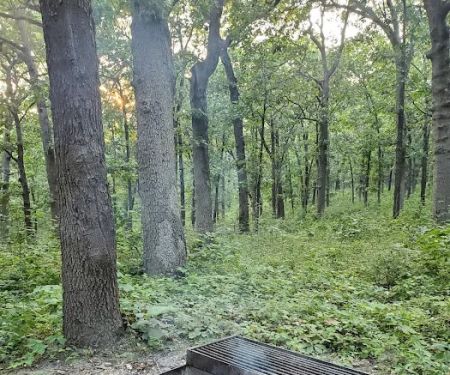 Buck Ridge Campground