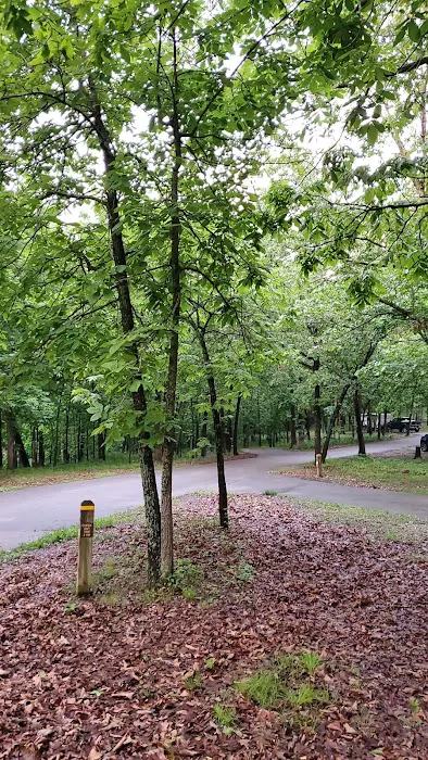 Buck Ridge Campground Picture 7