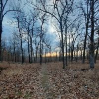 Devil's Backbone Campground ico