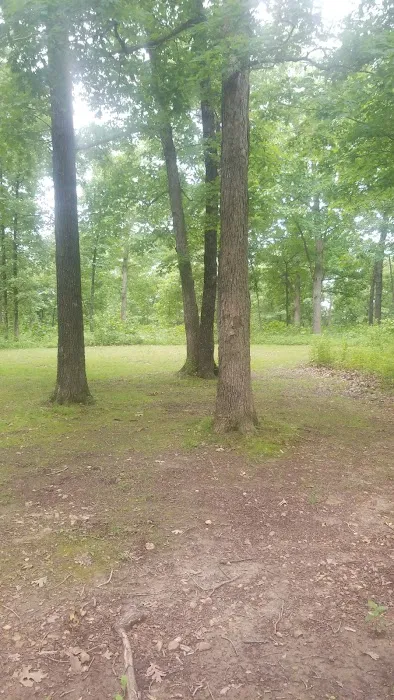 Devil's Backbone Campground Picture 6