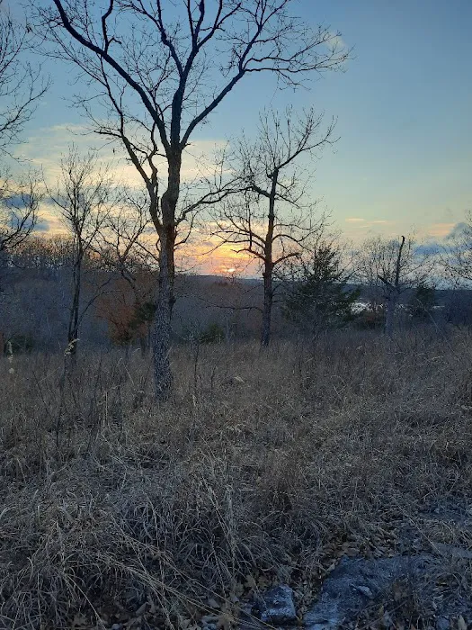 Devil's Backbone Campground Picture 9