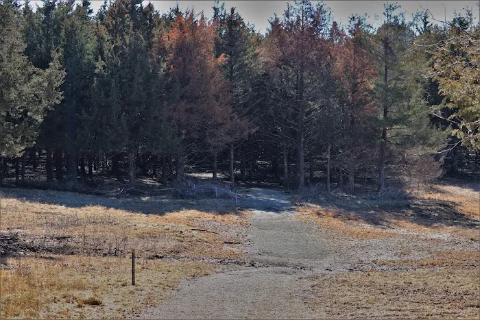 SHAWNEE BEND (recgovnpsdata) Picture 5