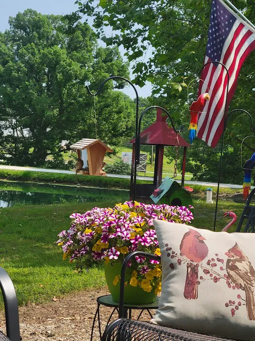 Rocky Top RV Park Picture 7