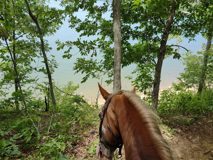 Hillsdale State Park Equestrian Camp Picture 1