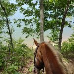 Hillsdale State Park Equestrian Camp