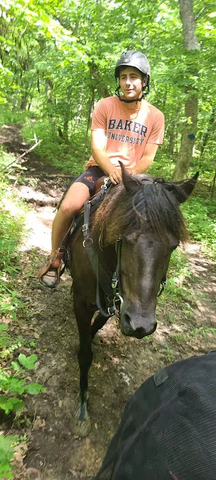 Hillsdale State Park Equestrian Camp Picture 9