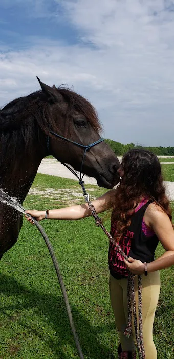 Hillsdale State Park Equestrian Camp Picture 10